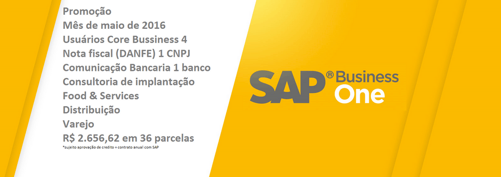 Combo 1 SAP Business One