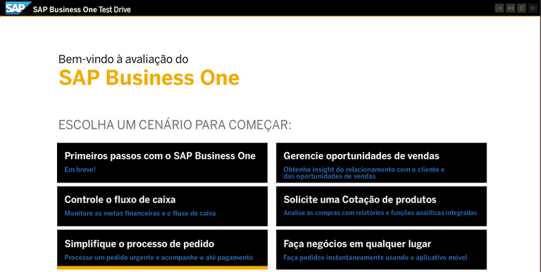 Teste Drive SAP Business One Ribeirão Preto